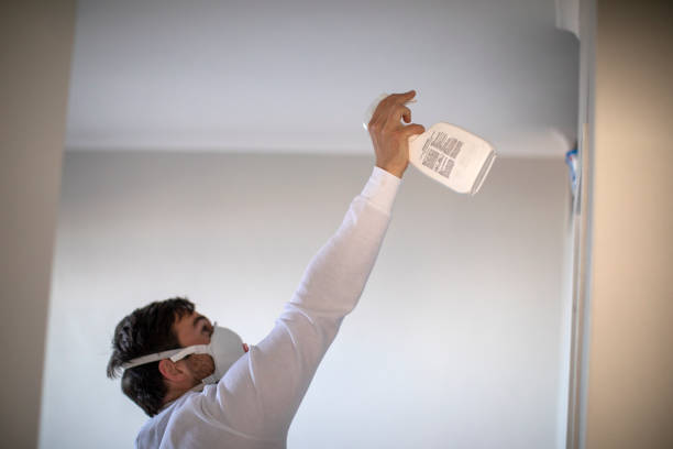 Best Commercial Mold Removal  in Ocean Park, WA