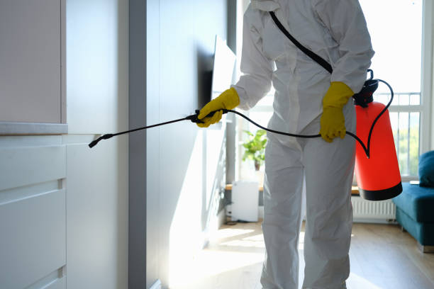 Best Same-Day Mold Removal  in Ocean Park, WA