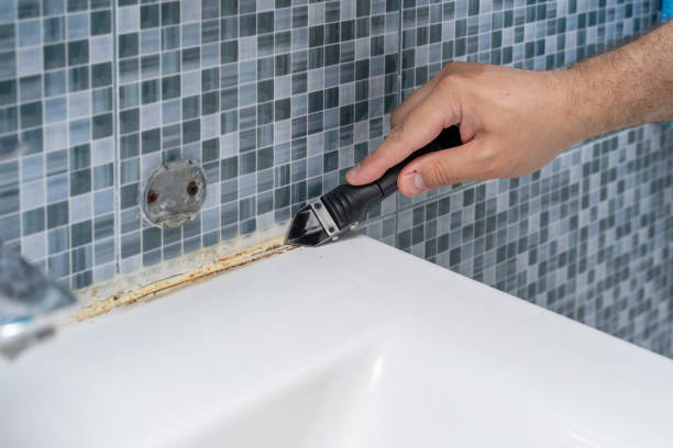 Best Residential Mold Removal  in Ocean Park, WA