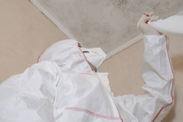 Best Water Damage Restoration  in Ocean Park, WA